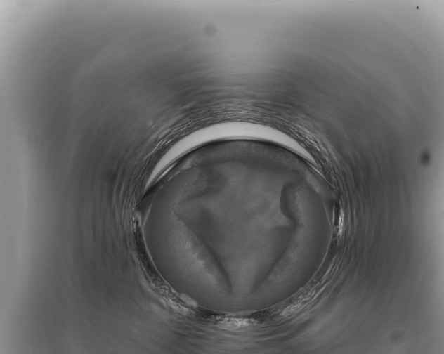 X0000095510332200712211245