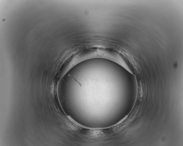 X0000095510333200712211245