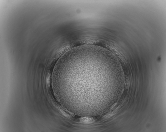 X0000095510334200712211245