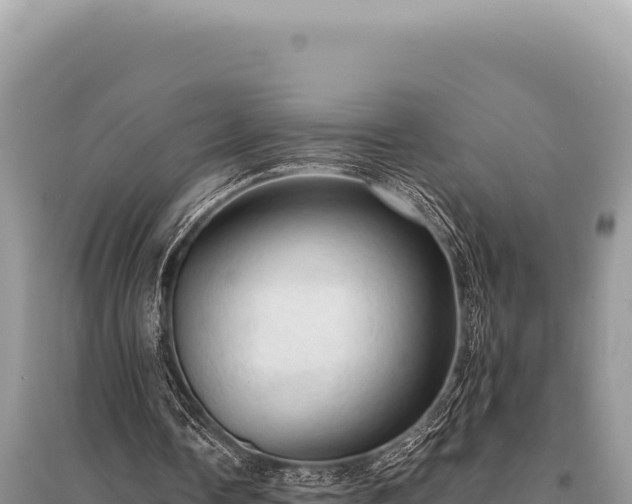 X0000095510338200712211245