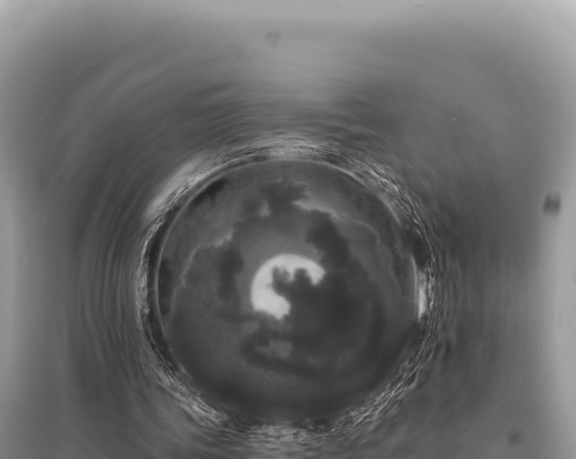 X0000095510339200712211245