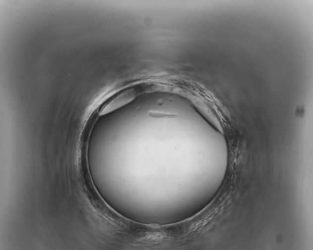 X0000095510344200712211245