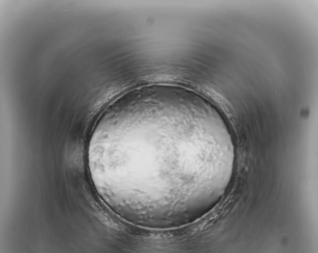 X0000095510345200712211245