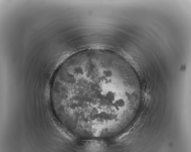 X0000095510347200712211245