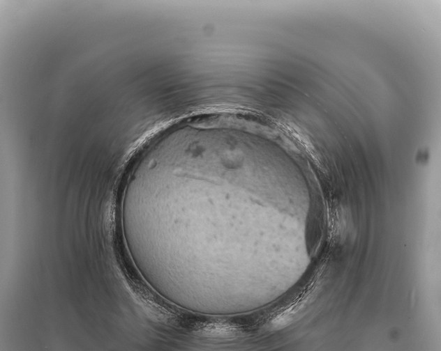 X0000095510348200712211245