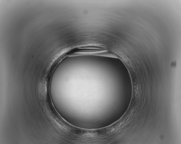 X0000095510350200712211245