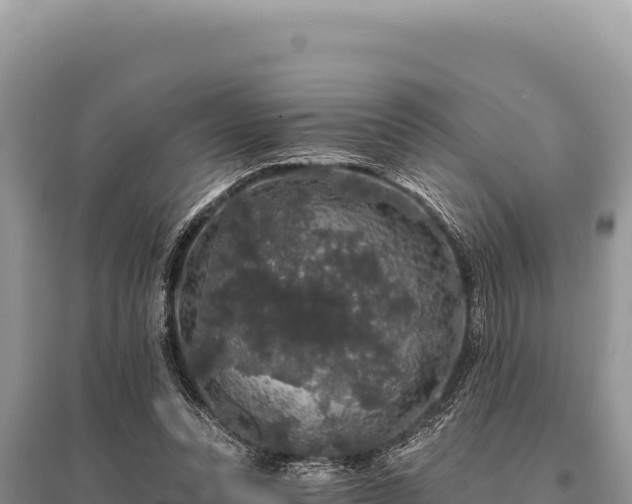 X0000095510351200712211245