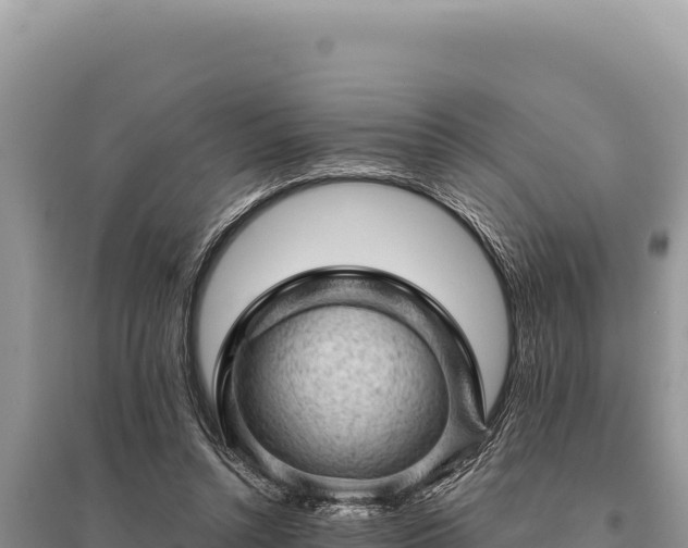 X0000095510352200712211245