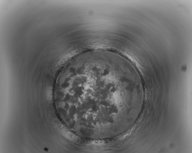 X0000095510353200712211245