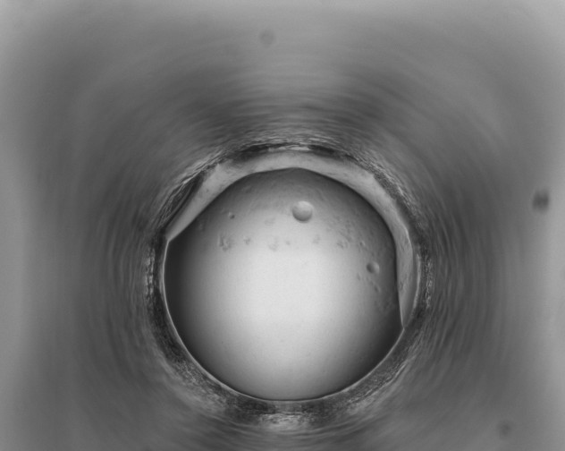 X0000095510356200712211245