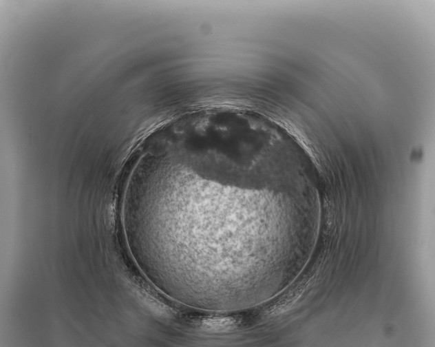 X0000095510357200712211245