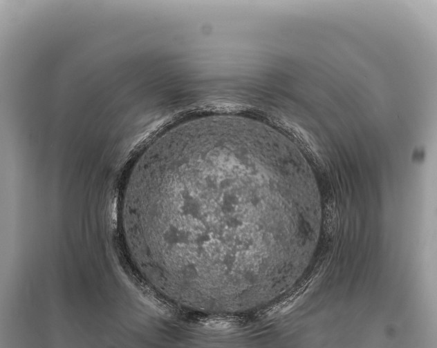X0000095510358200712211245