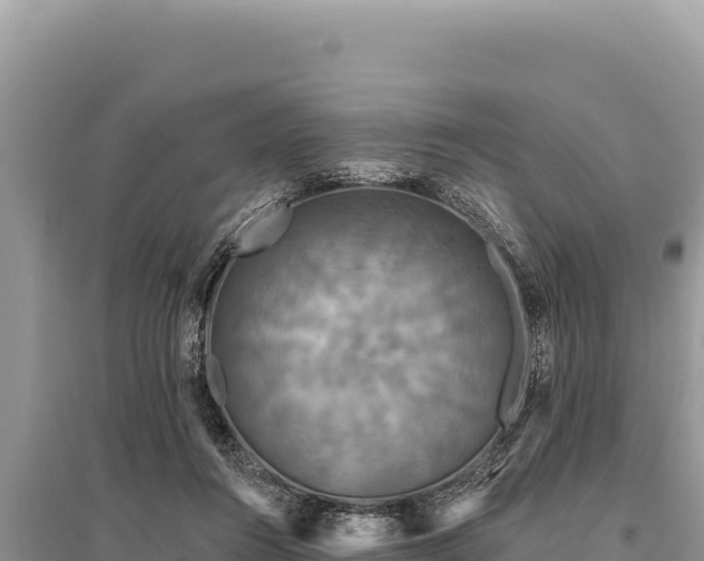 X0000095510360200712211245