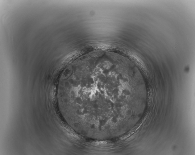 X0000095510361200712211245