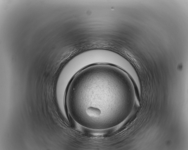 X0000095510362200712211245