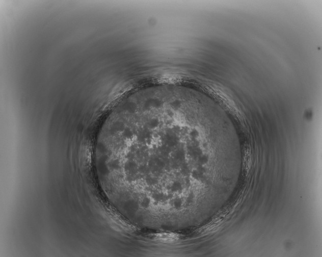 X0000095510363200712211245