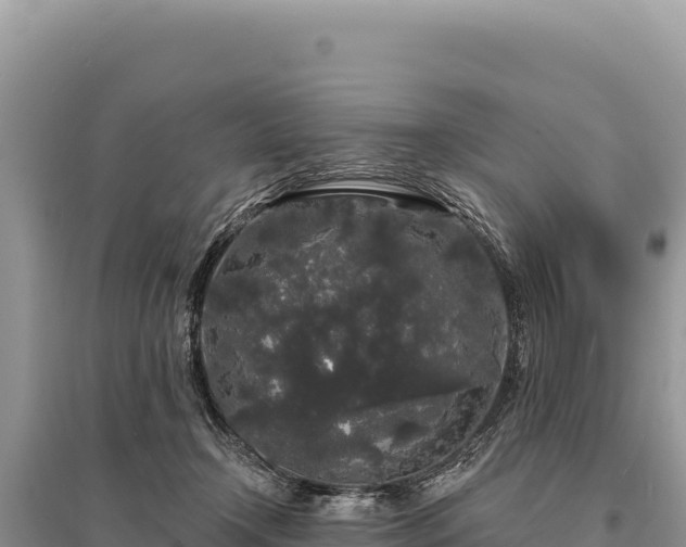 X0000095510366200712211245