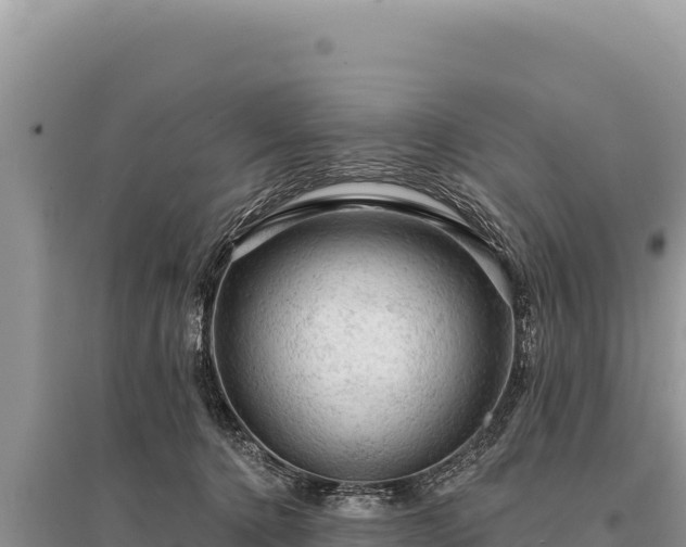 X0000095510368200712211245
