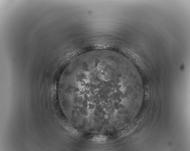X0000095510369200712211245