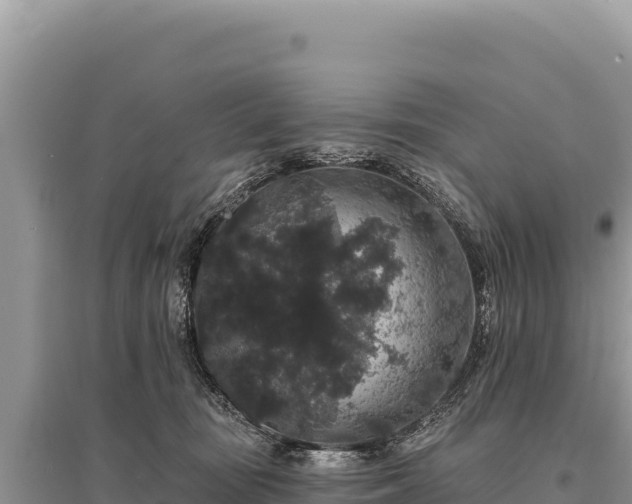 X0000095510371200712211245