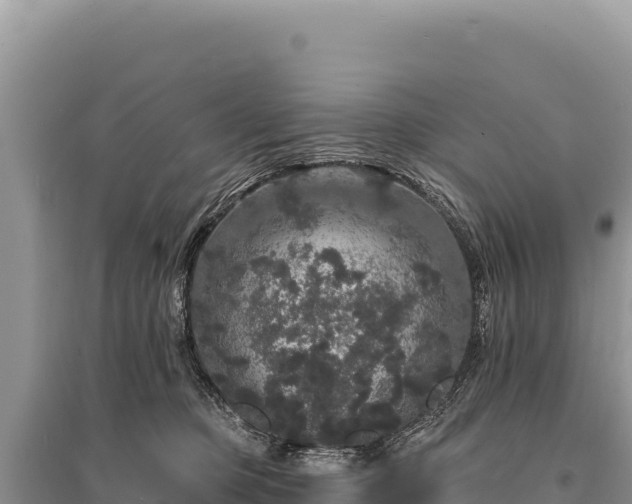 X0000095510373200712211245