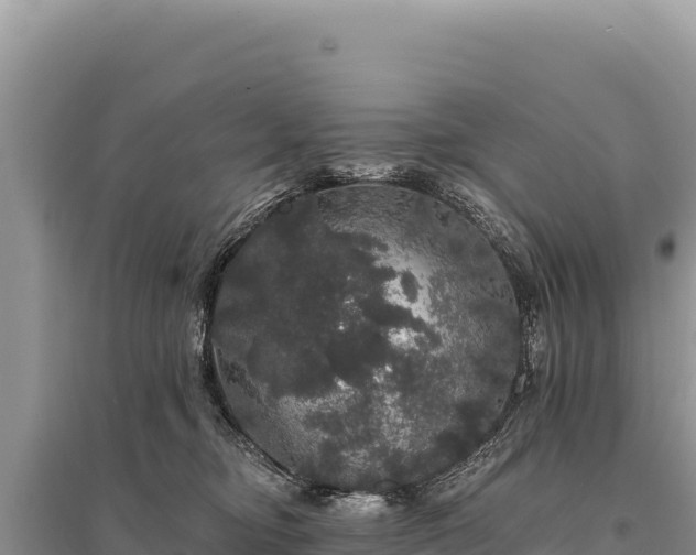 X0000095510374200712211245