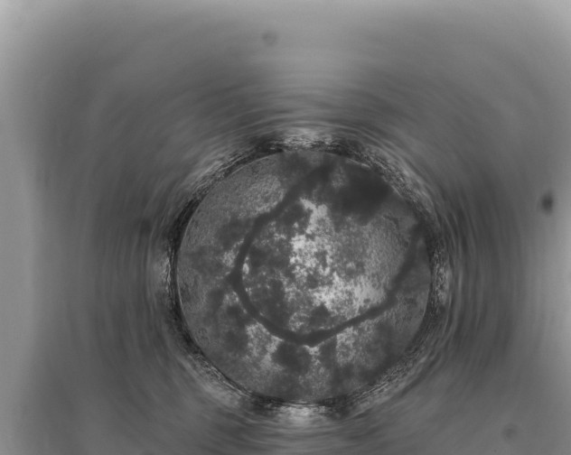 X0000095510375200712211245