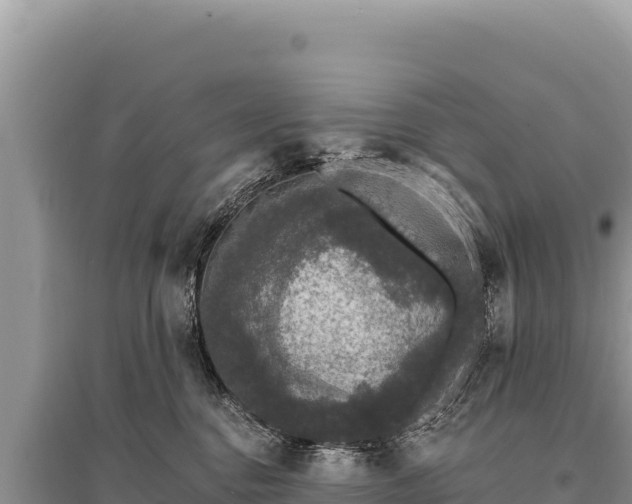X0000095510376200712211245