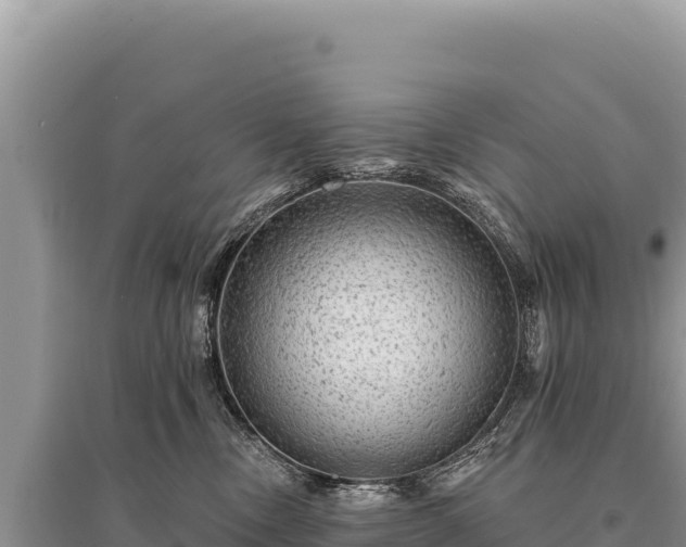 X0000095510378200712211245