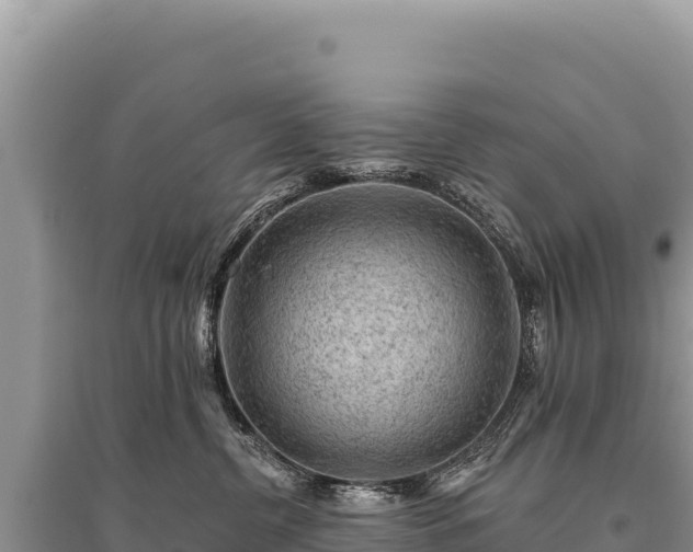 X0000095510380200712211245