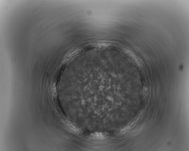 X0000095510381200712211245