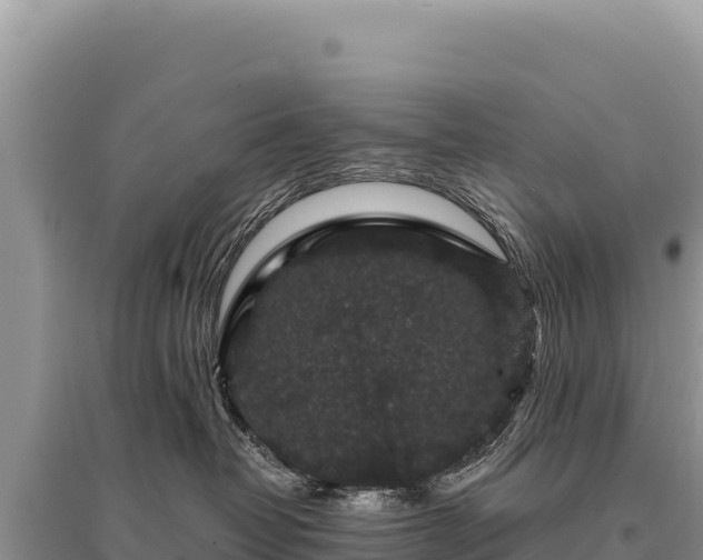 X0000095510382200712211245