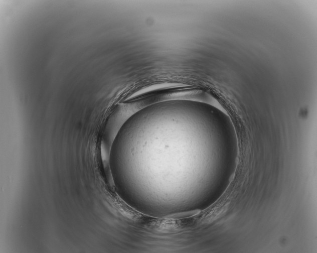 X0000095510384200712211245