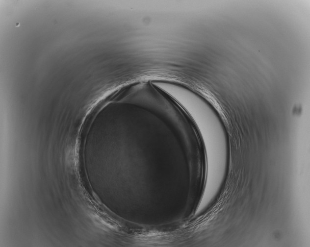 X0000095510387200712211245