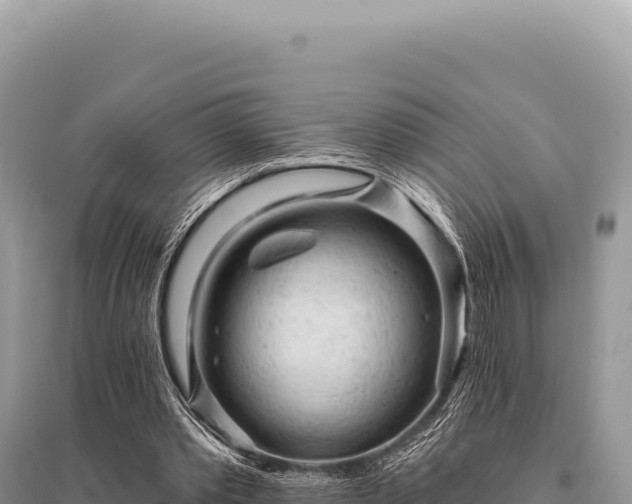 X0000095510389200712211245