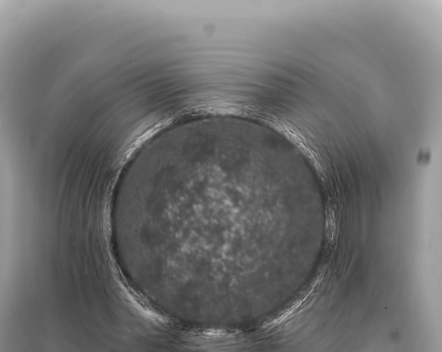 X0000095510390200712211245