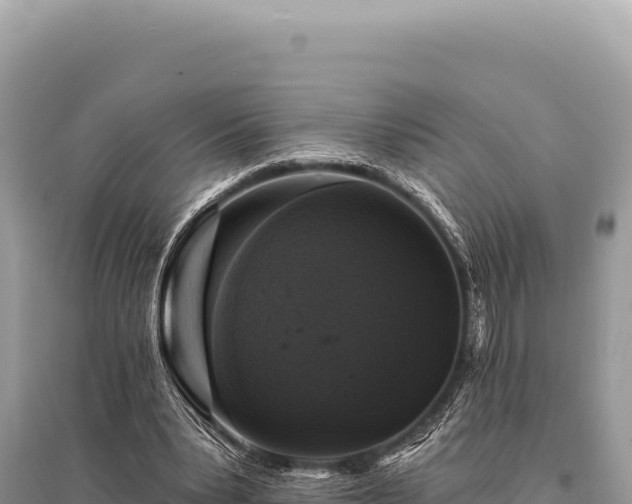 X0000095510391200712211245