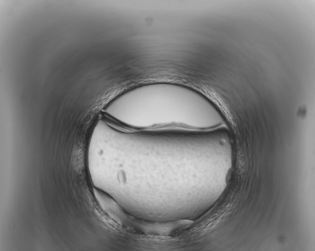X0000095510393200712211244