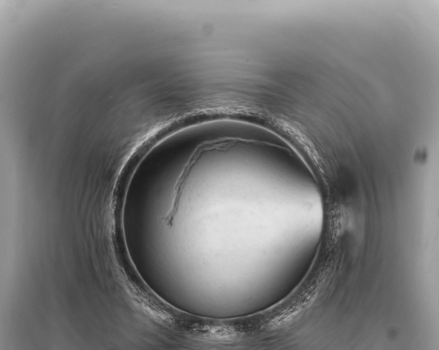 X0000095510395200712211244