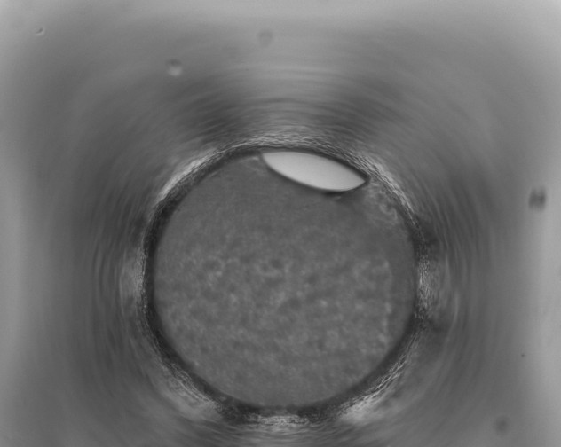 X0000095510396200712211244