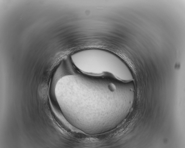 X0000095510397200712211244