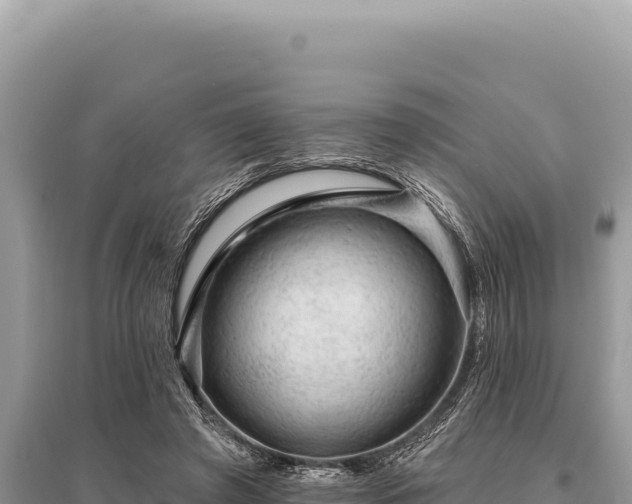 X0000095510401200712211244