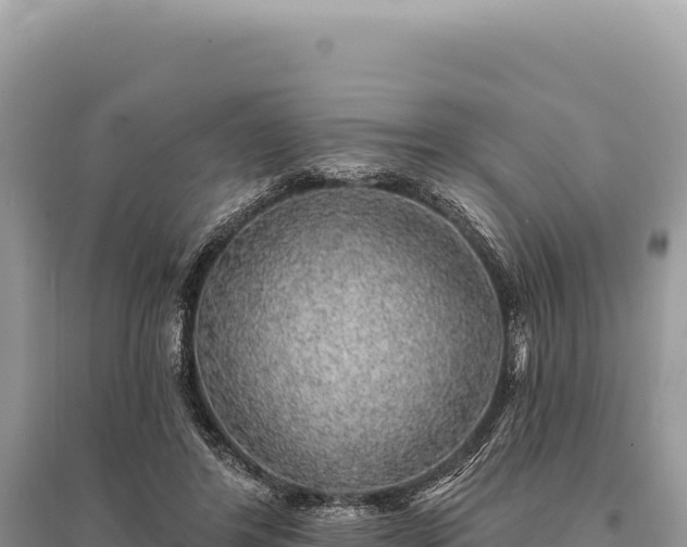 X0000095510404200712211244
