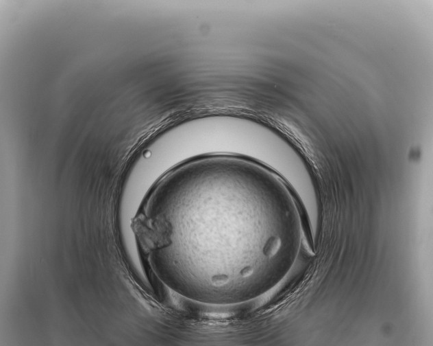 X0000095510405200712211244