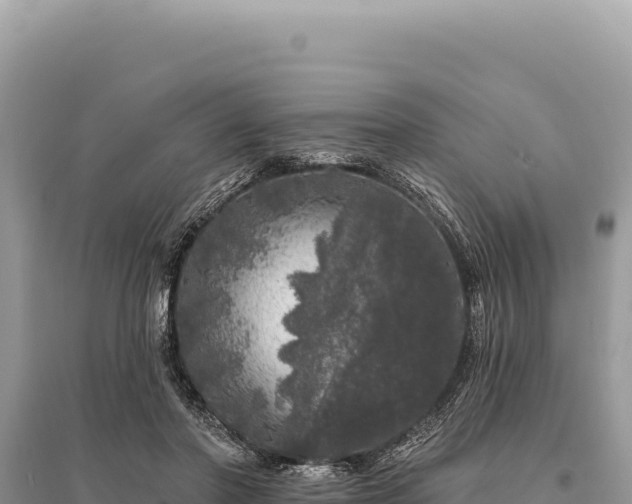 X0000095510406200712211244
