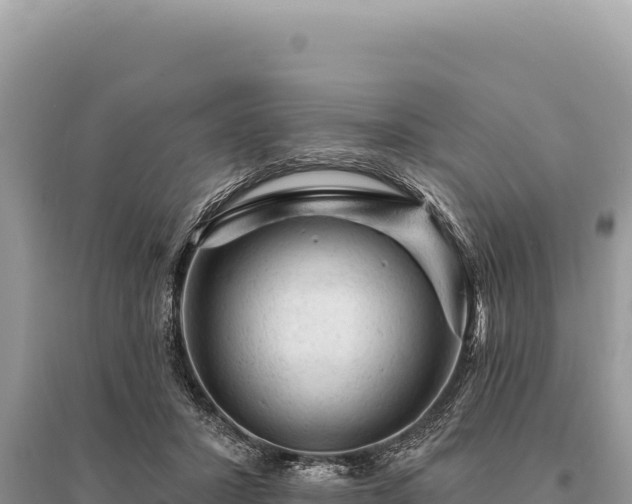 X0000095510407200712211244