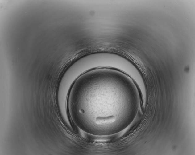 X0000095510409200712211244