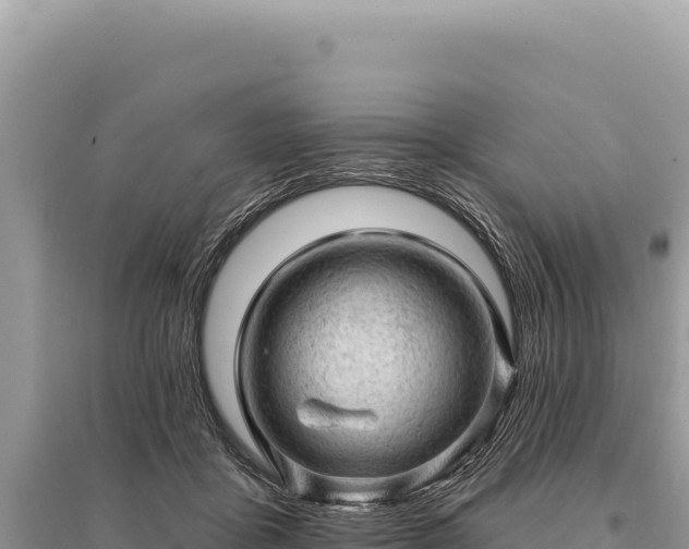 X0000095510411200712211244