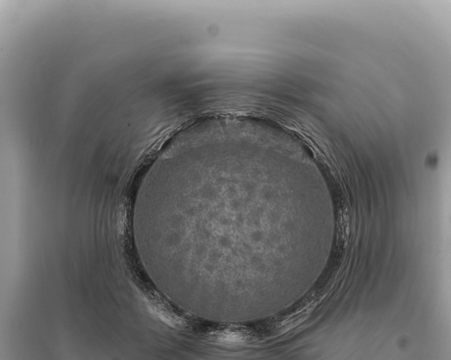 X0000095510412200712211244