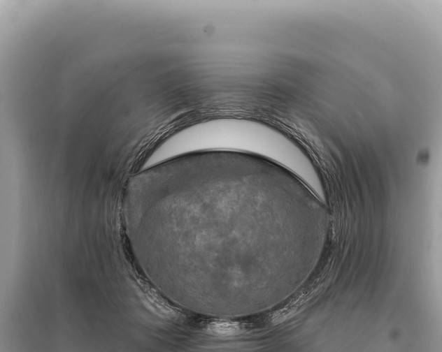 X0000095510413200712211244
